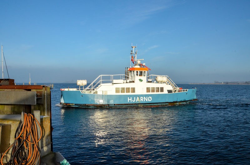 hjarnø færgen