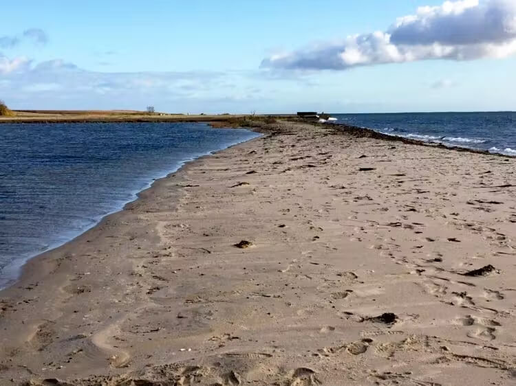 hjarnø strand