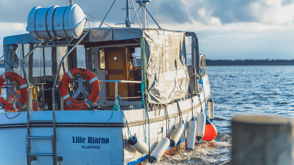 Hjarnø færge 2